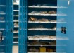 Cabinets Museum Cabinets